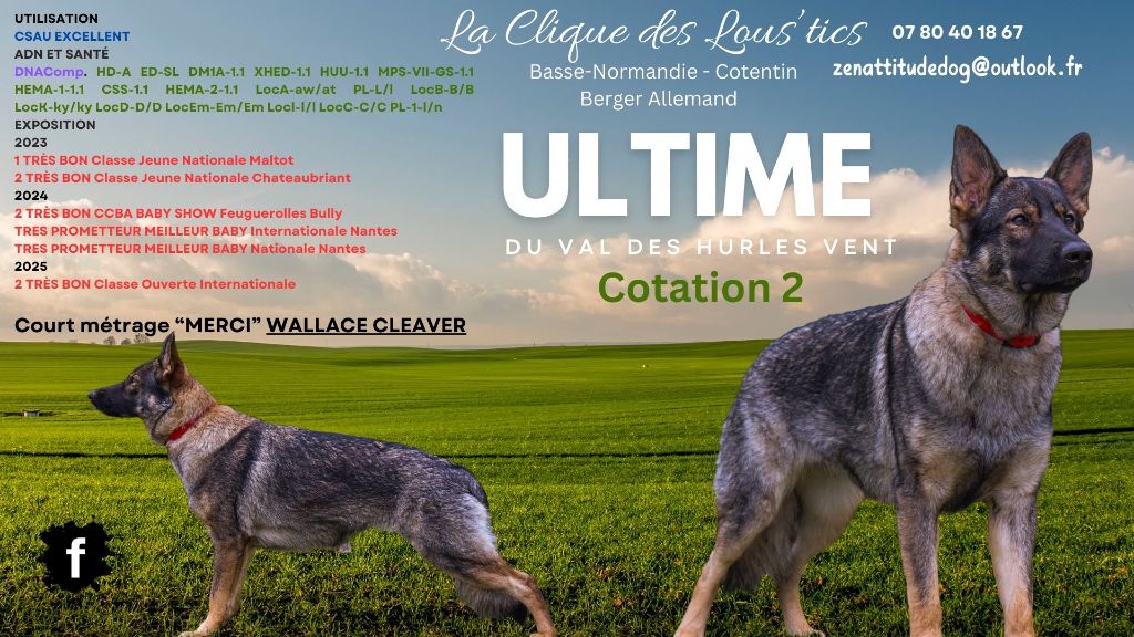 Ultime 
